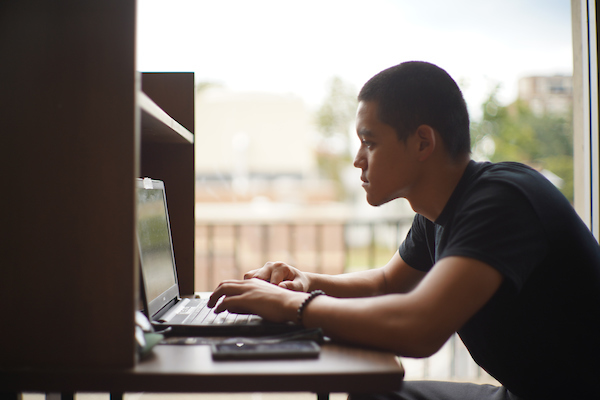 A student uses their laptop in Cook Library