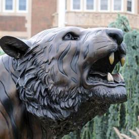 Tiger statue in front of Stephens Halls